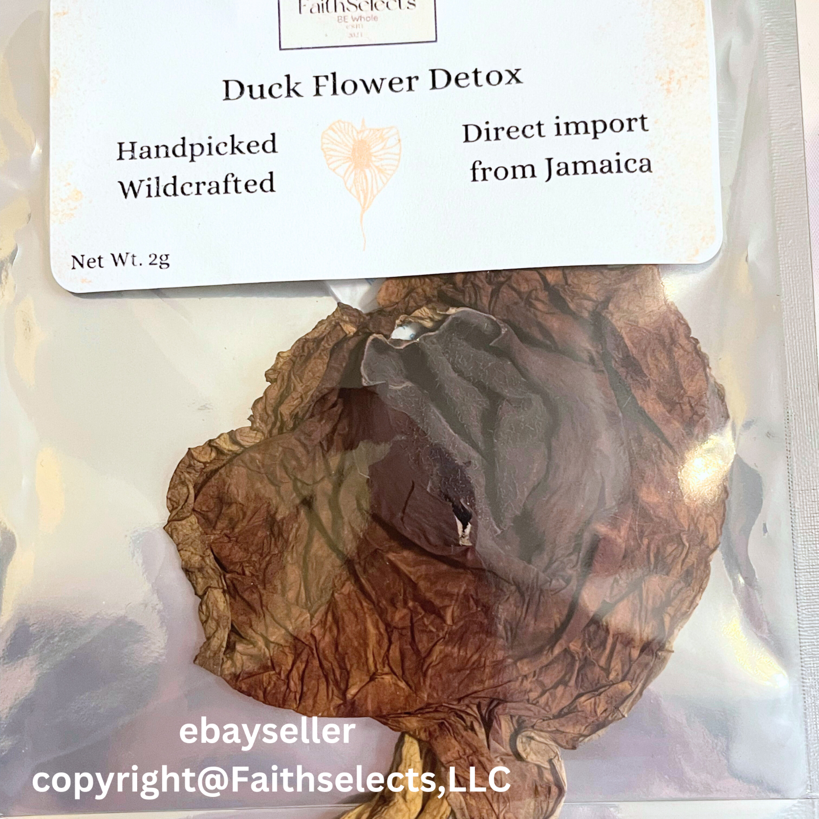 1 duck flower, Duck Flower Detox,Jamaica, Wildcrafted (for adults only)