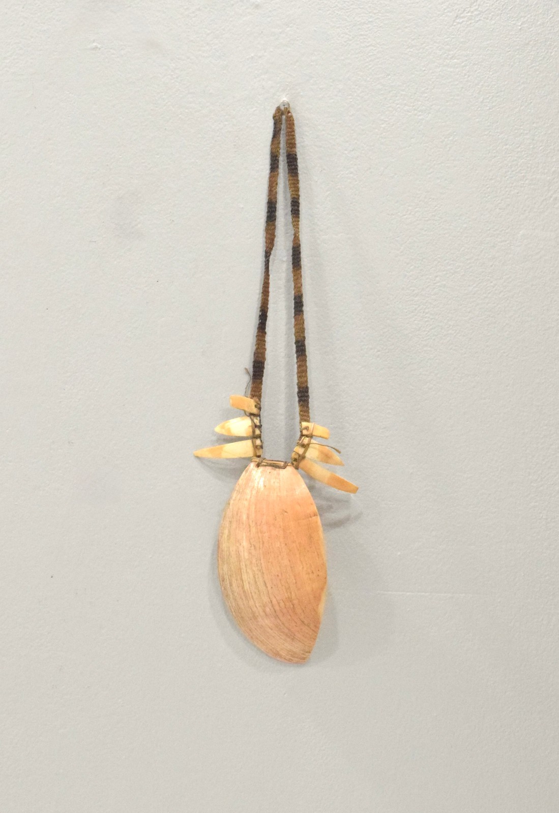 Papua New Guinea Bailer Shell Necklace
