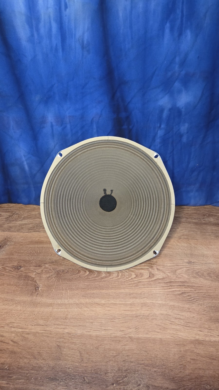 Ceramic Speaker 12" CTS Vintage USA Rib Cone 8 Ohm 20 / 25 Watt Tube Amp hi fi