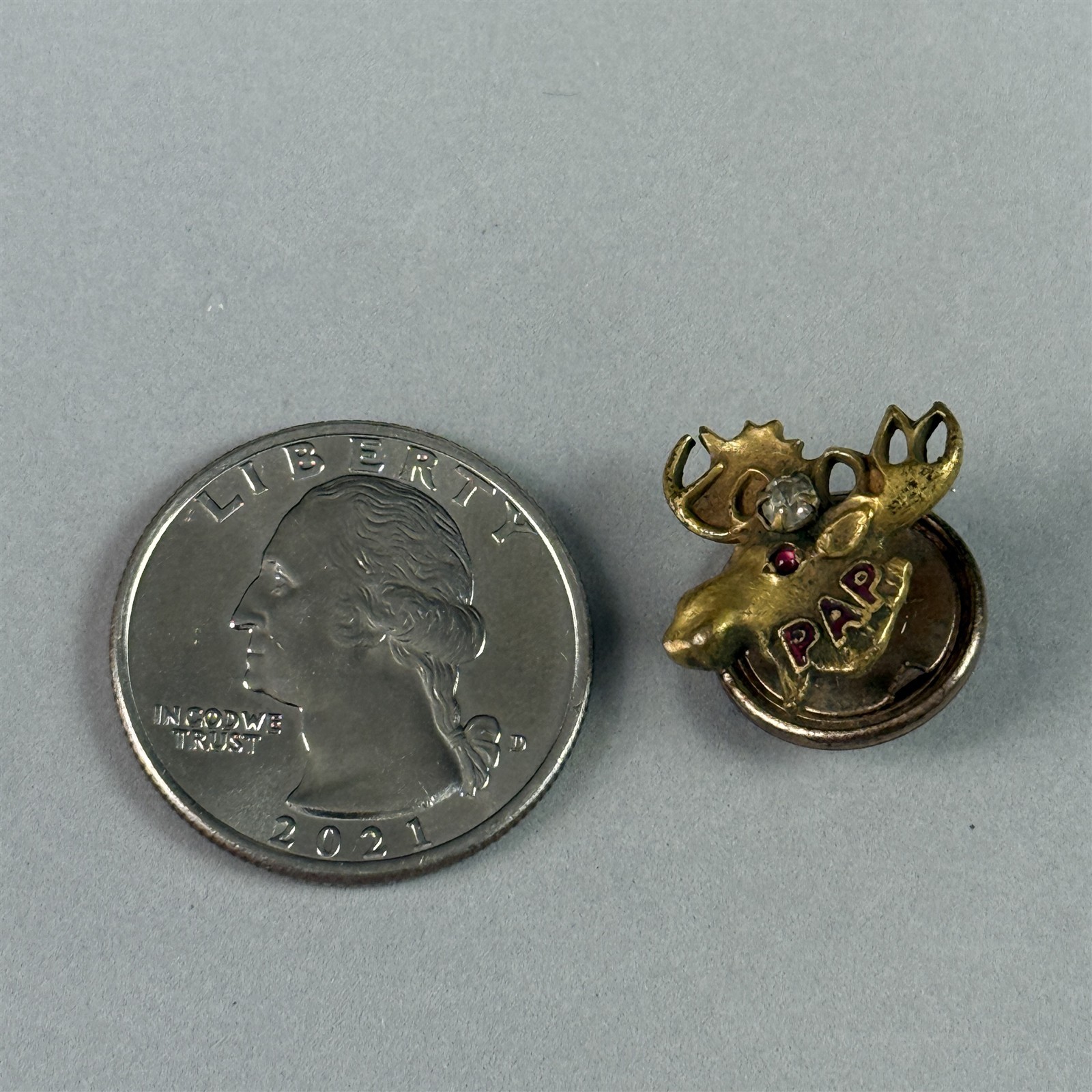 Vtg Loyal Order Of The Moose PAP Purity Aid Progress Stones Screw Back Pin 54731