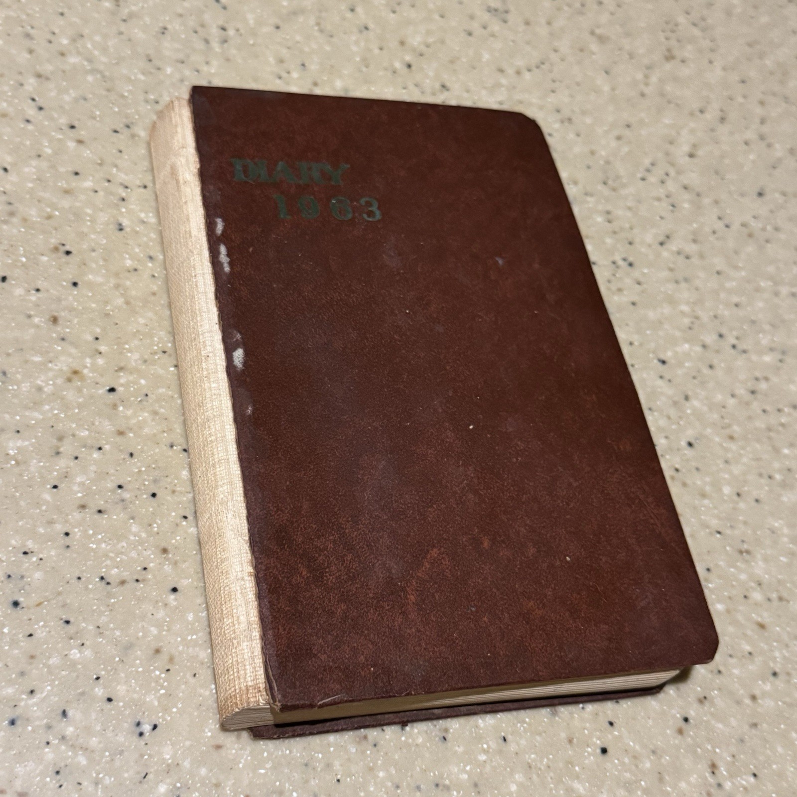 VTG Diary Handwritten JFK President John Kennedy Death Jack Ruby Womans Journal