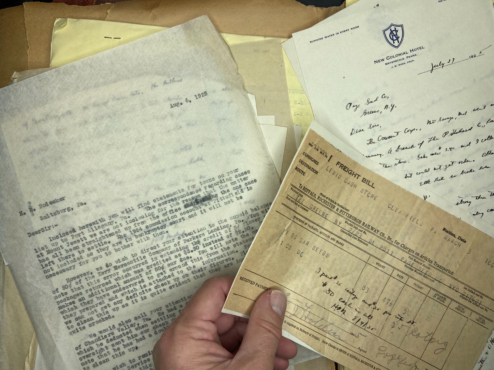 RARE Letter Archive - Traveling Salesman - Page Seed Co Greene, NY 1925 NY, PA,