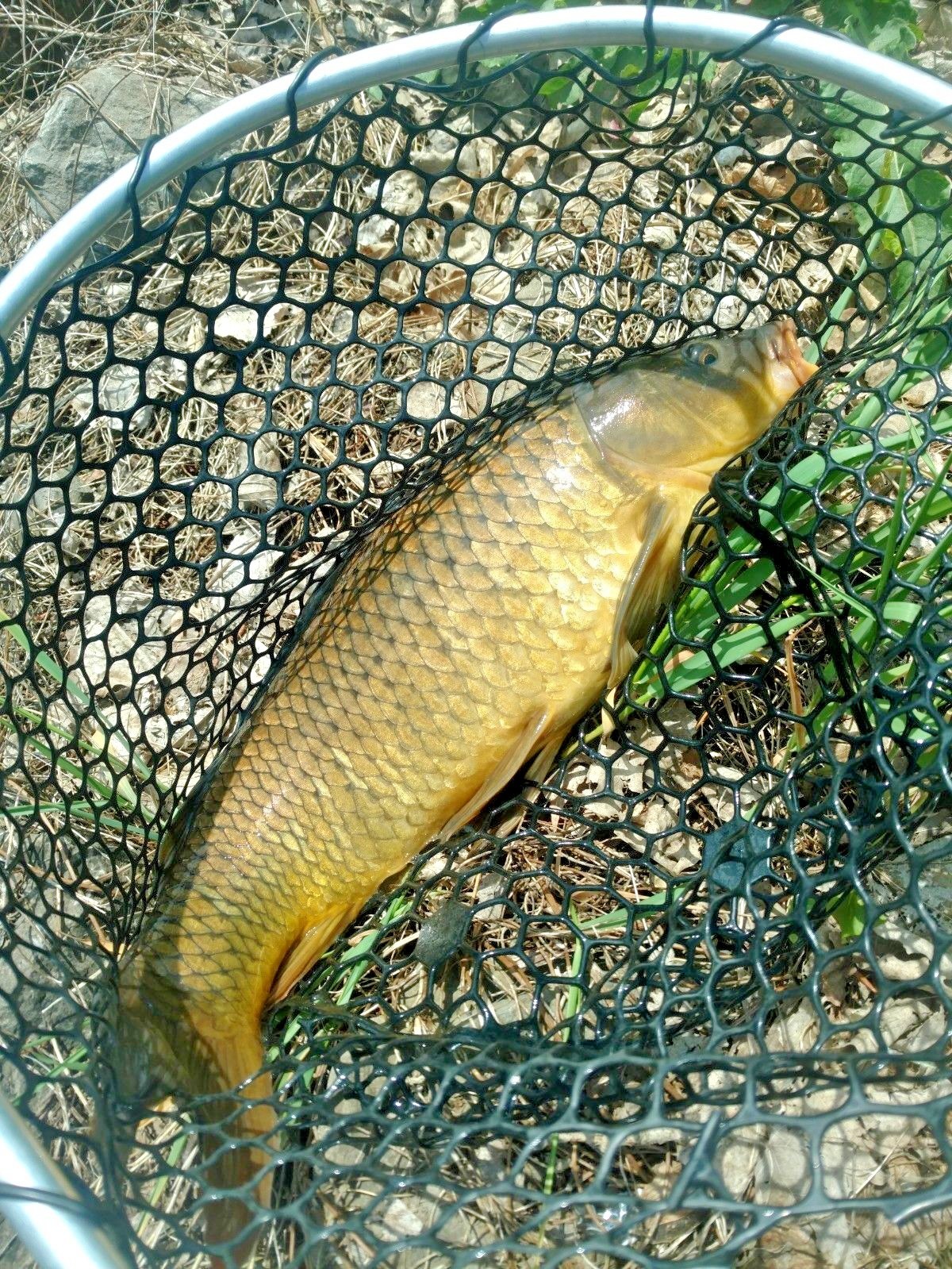 3-Way 360° T-Turn Swivel Cross-line 3Way Rolling Barrel Swivels 40#Test FreeShip