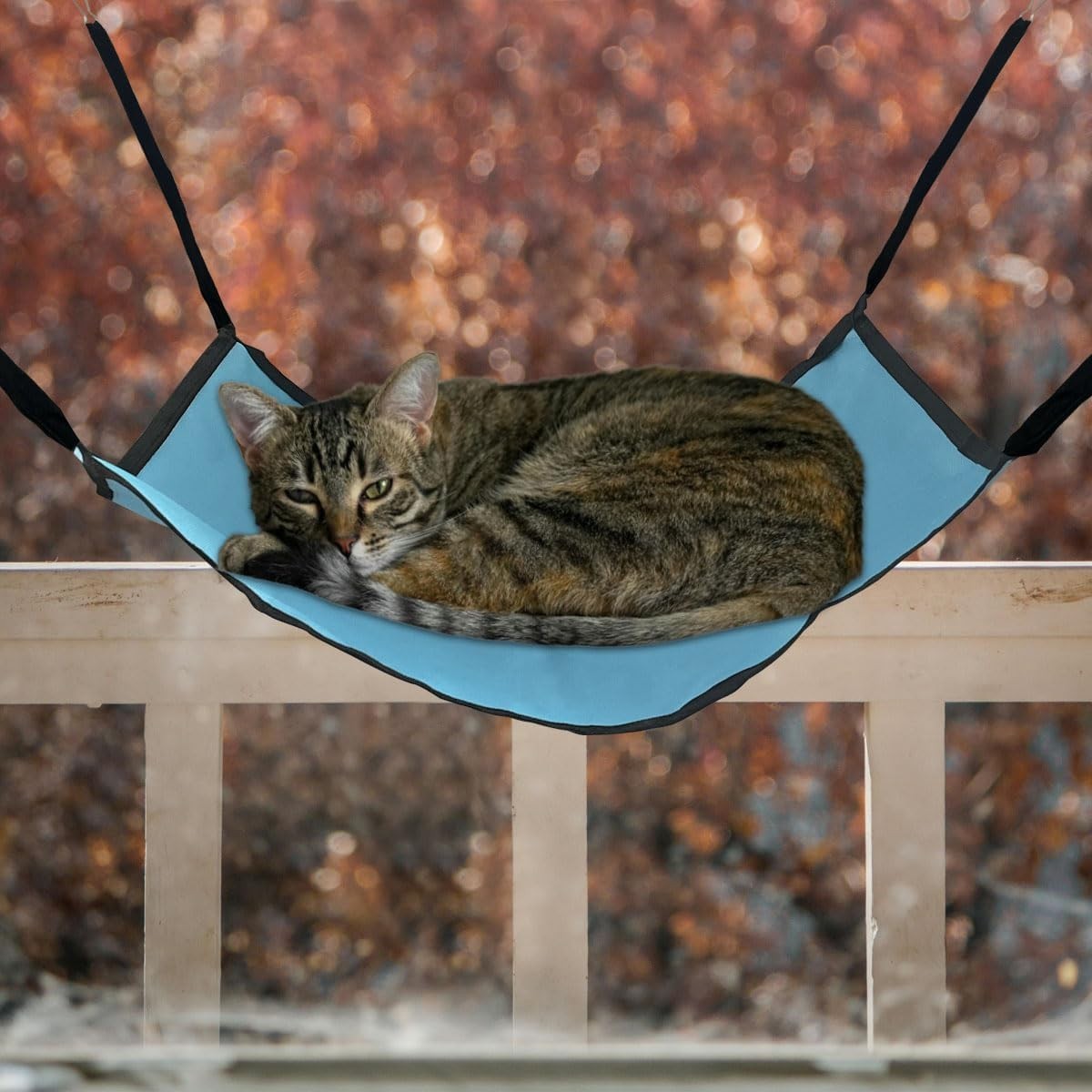 Durable Oxford and Cotton Cat Hammock for Relaxation - Easy Wash and Maintenance