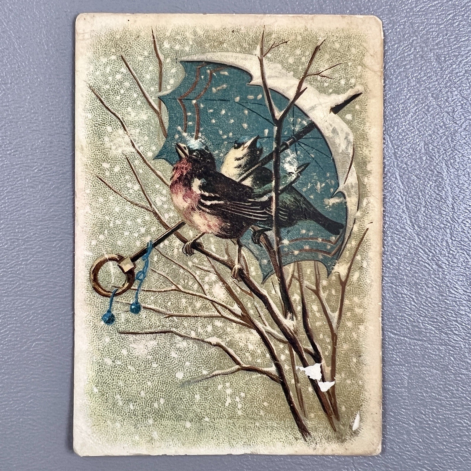 Victorian Trade Card Sparrows Birds Under Umbrella Tree Branch Snow Songbirds