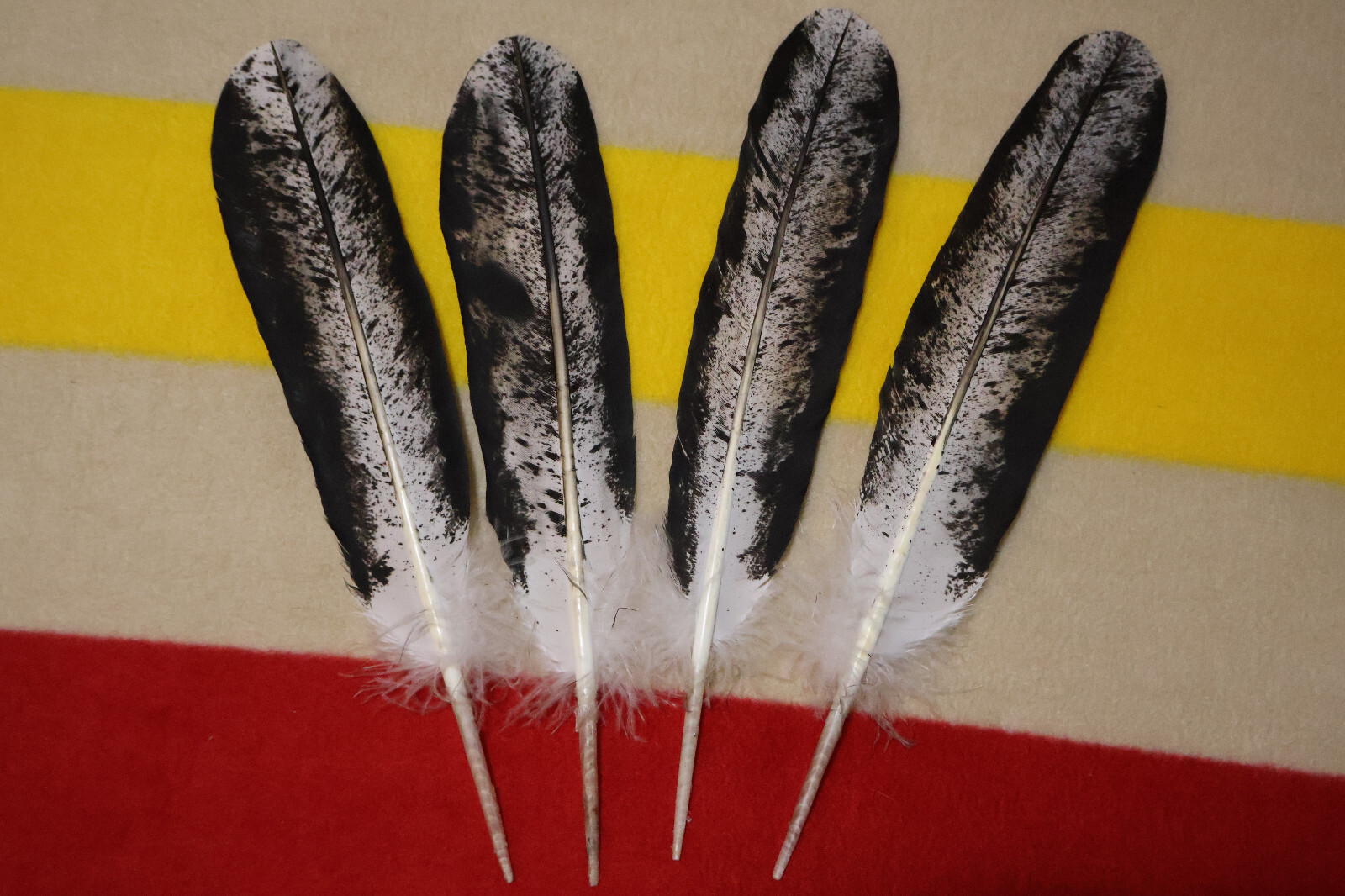Native American-made Immature Bald Eagle Feathers Immature hand painted