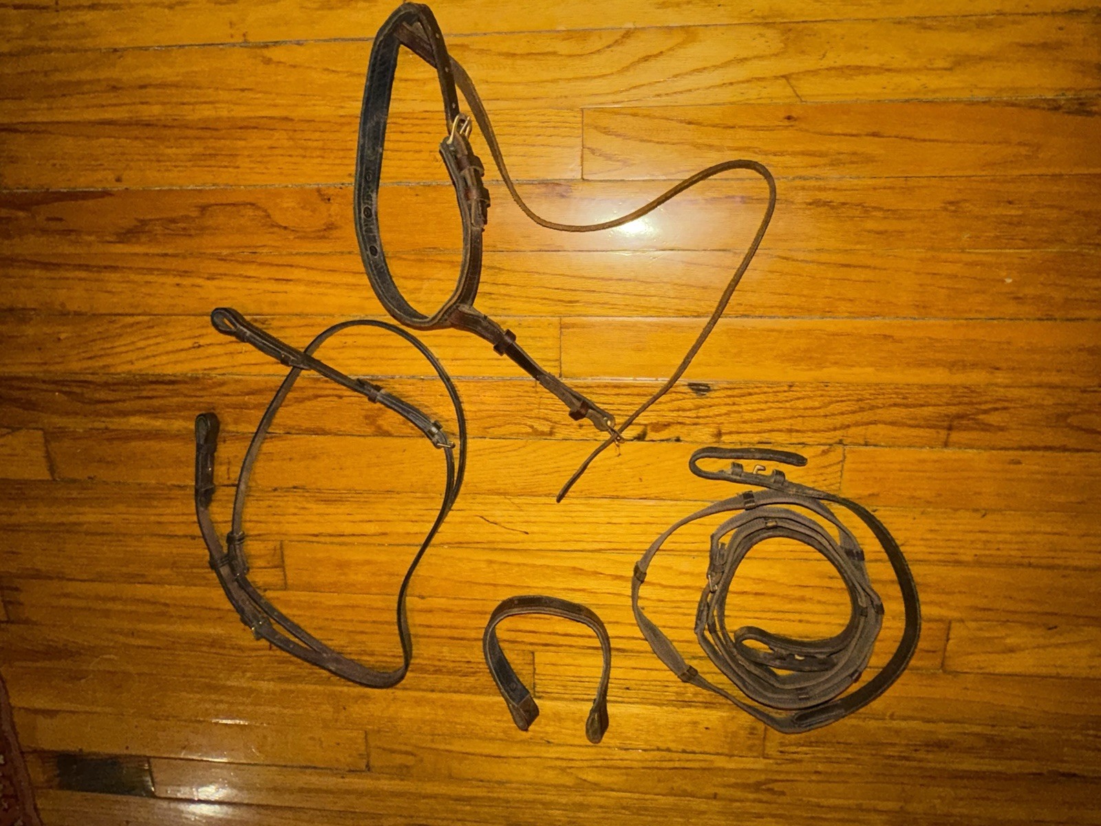 Leather Horse Head Gear and Leather/Nylon Reins