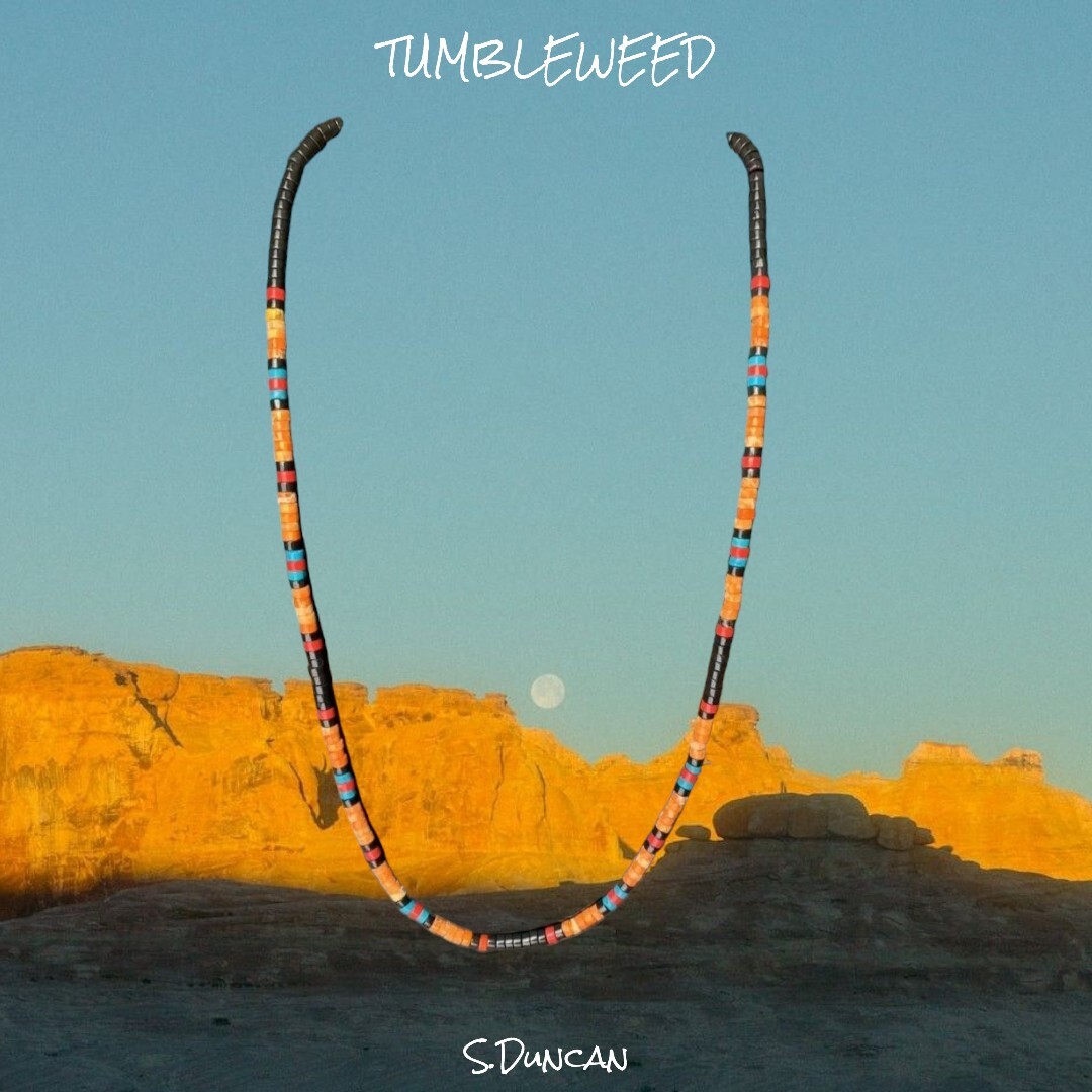 Native American Heishi Necklace