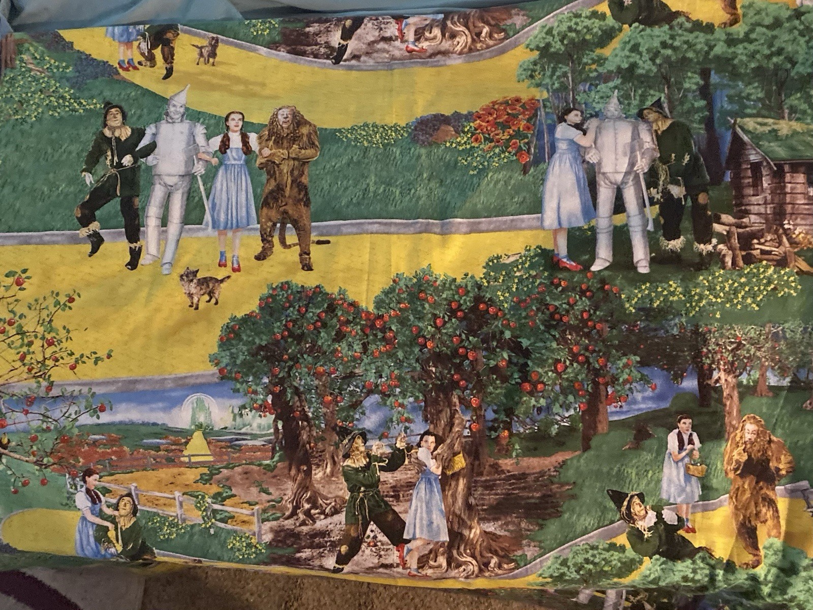 Wizard Of Oz Curtains/Material
