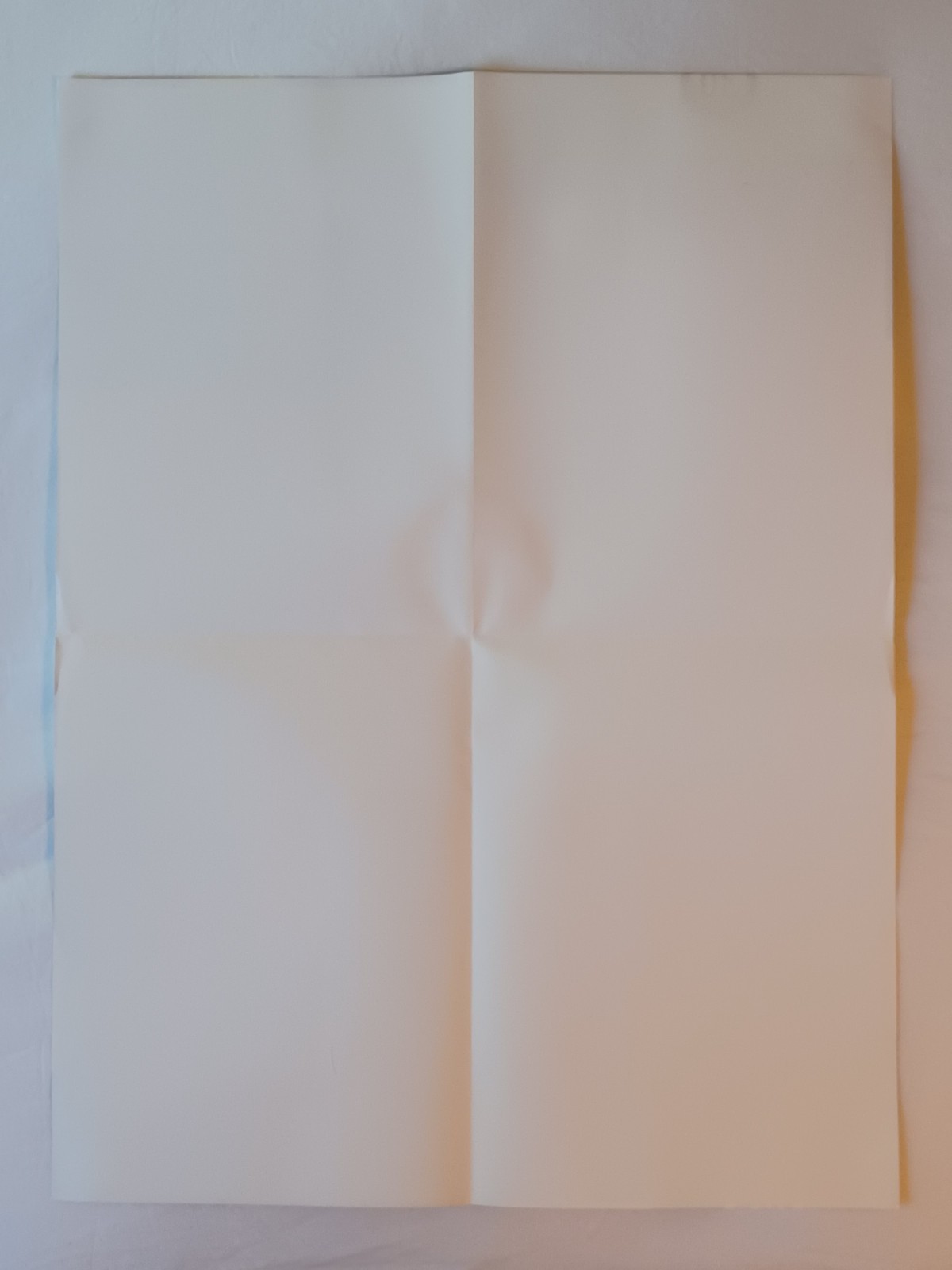 THE PROMISE RING 30 Degrees Everywhere POSTER 1996 Jade Tree Promo CD LP 18 x 24