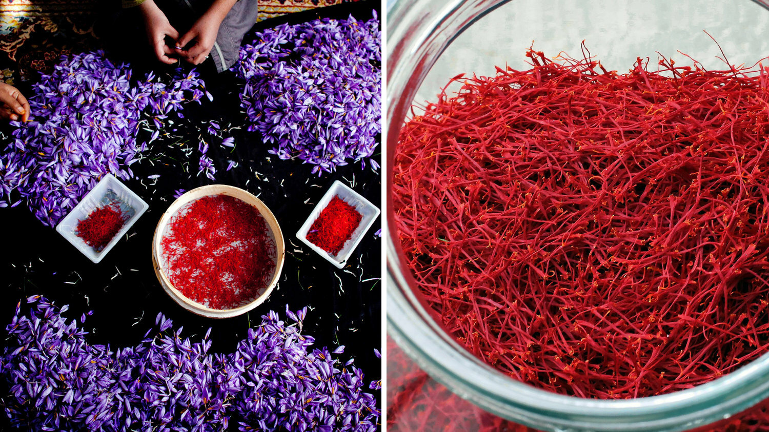 Bulk Genuine Premium Grade A+, All Red, Organically Grown Super Negin Saffron