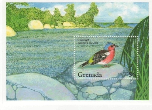 Grenada 1994 - Birds - Souvenir Stamp Sheet - Scott #2410 - MNH