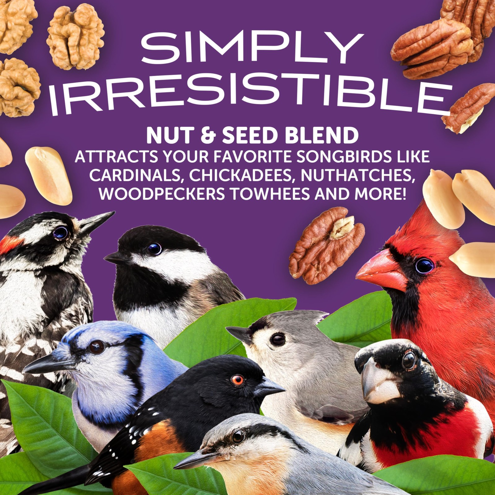 Pennington Ultra Double Nut & Fruit Blend Bird Food 10lbs Pack of 2