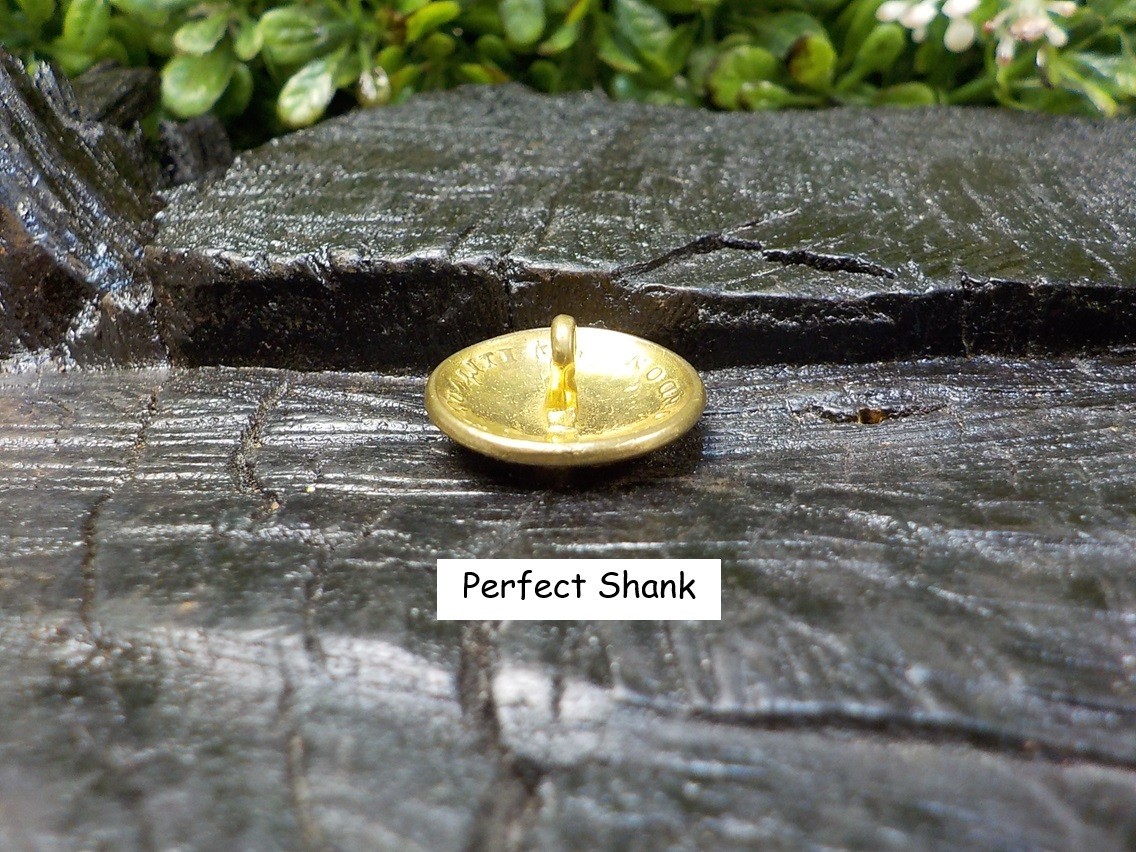 Old Rare Vintage Antique Relic Pre Civil War Militia Officers Coat Button w/Gold