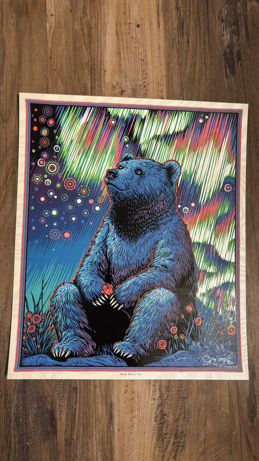 Todd slater grateful dead art print. 12x14. muir beach 1965.