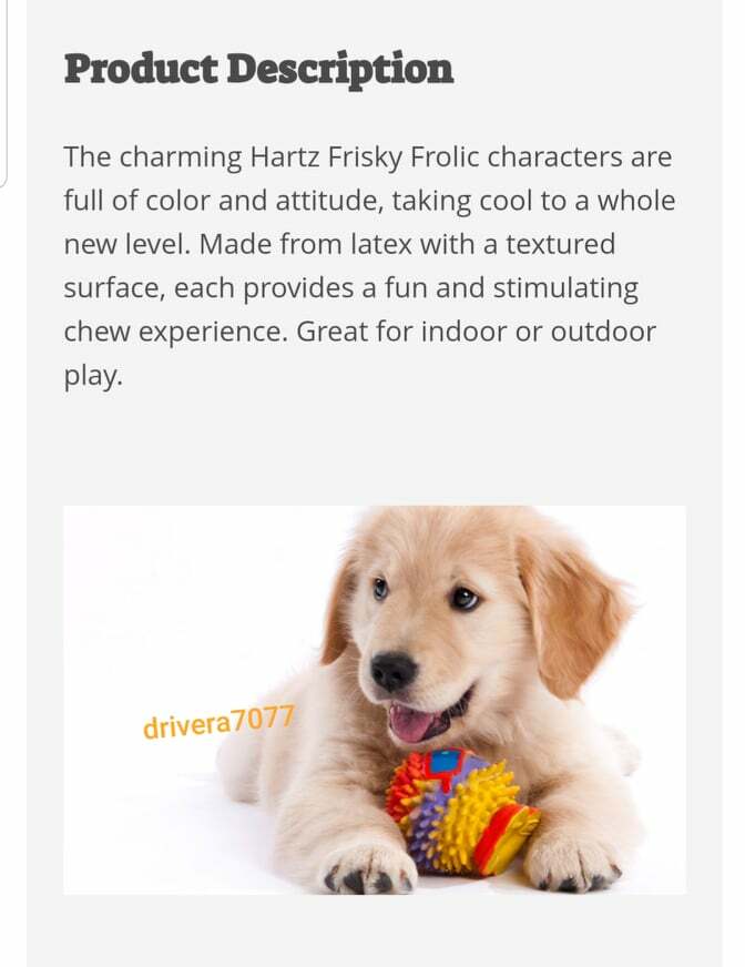 Hartz Frisky Frolic Latex Squeakable Dog Toy, Color Varies, 1 count