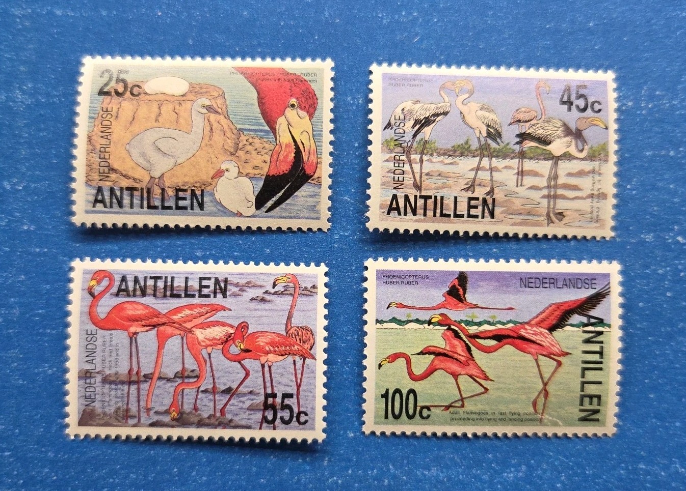Netherlands Antilles Stamps, Scott 527-530 Complete Set MNH