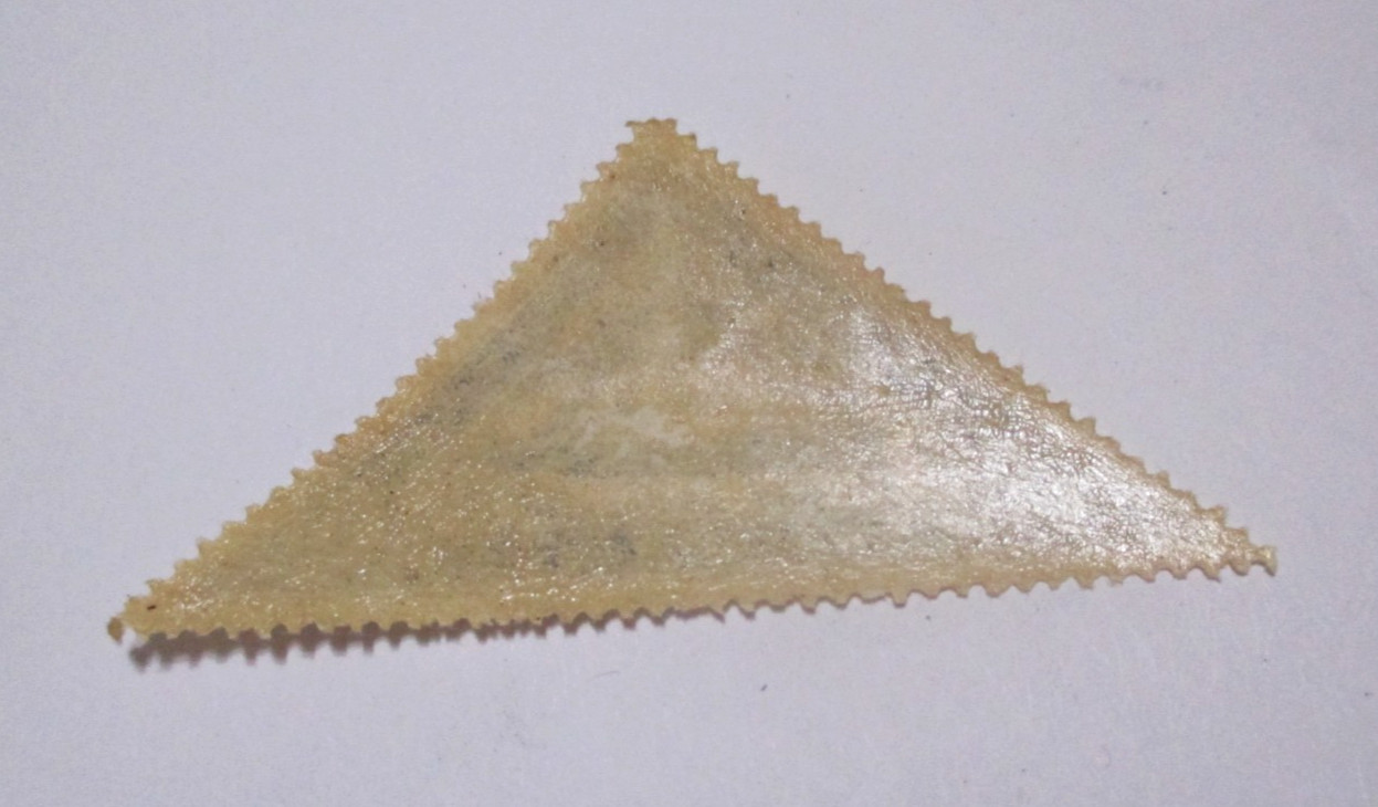 PARAGUAY Stamp Blue - 1932 Graf Zeppelin Airship Triangle NH