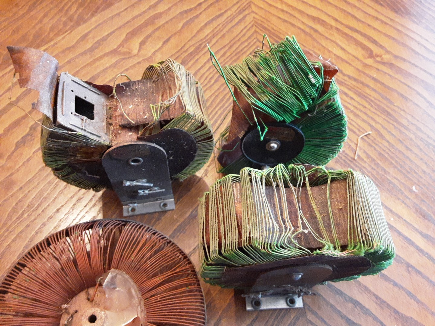 RARE Early 1900s Binocular Coils Damaged