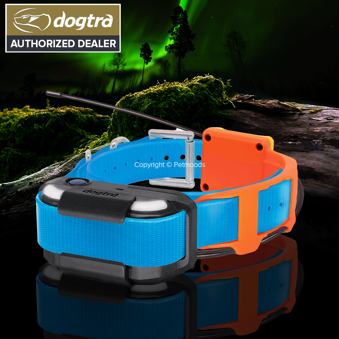 Dogtra PATHFINDER2 GPS Dog Collar Tracking Only Receiver LED Locate Light