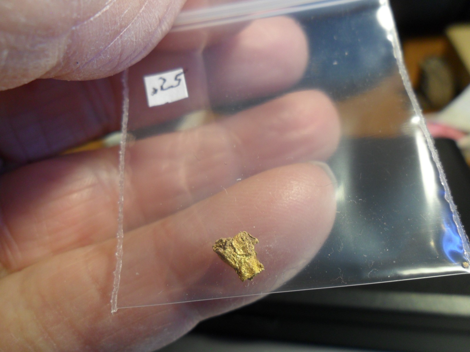 GOLD NUGGET