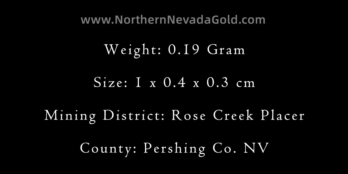 Gold nugget Small nugget in box 0.19 Gram Rose Creek Placer Pershing Co. NV