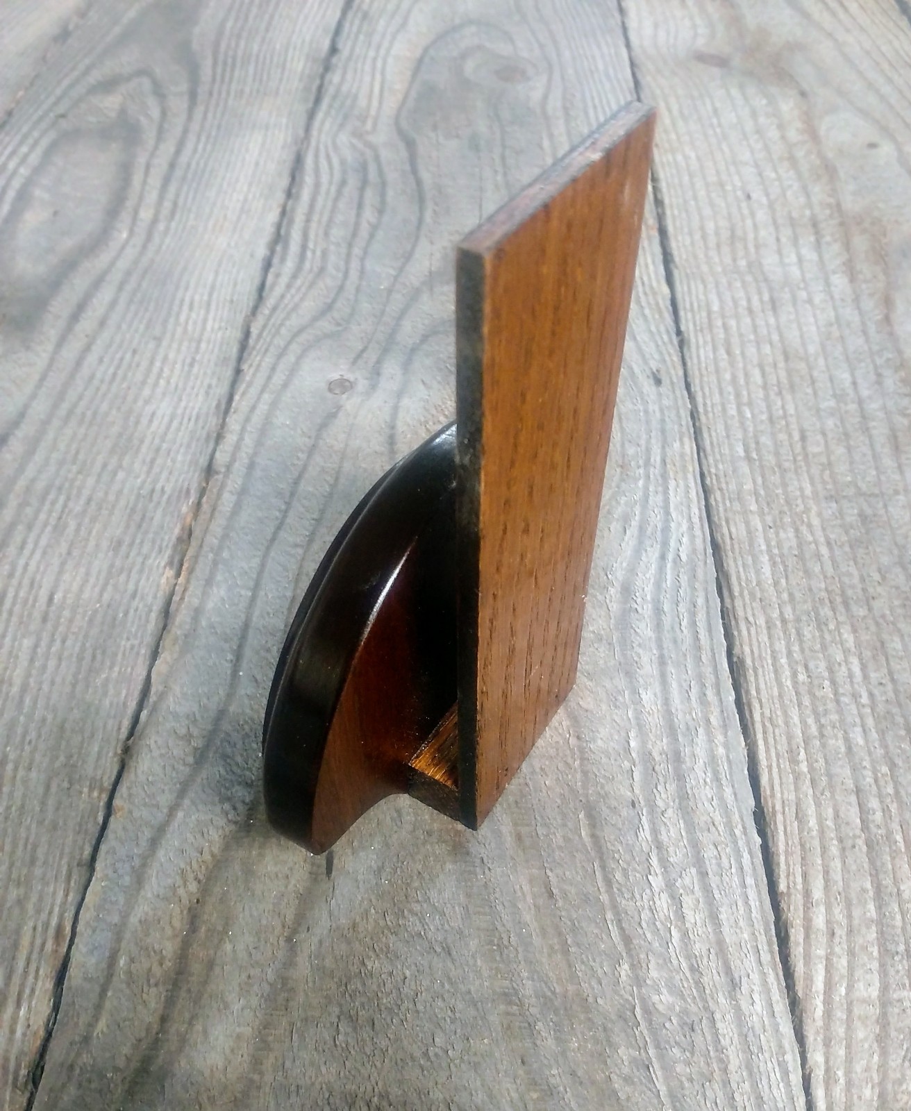 BLACK WALNUT GROUSE FAN TAIL DESK SHELF PANEL PLAQUE TAXIDERMY GROUSE TROPHY