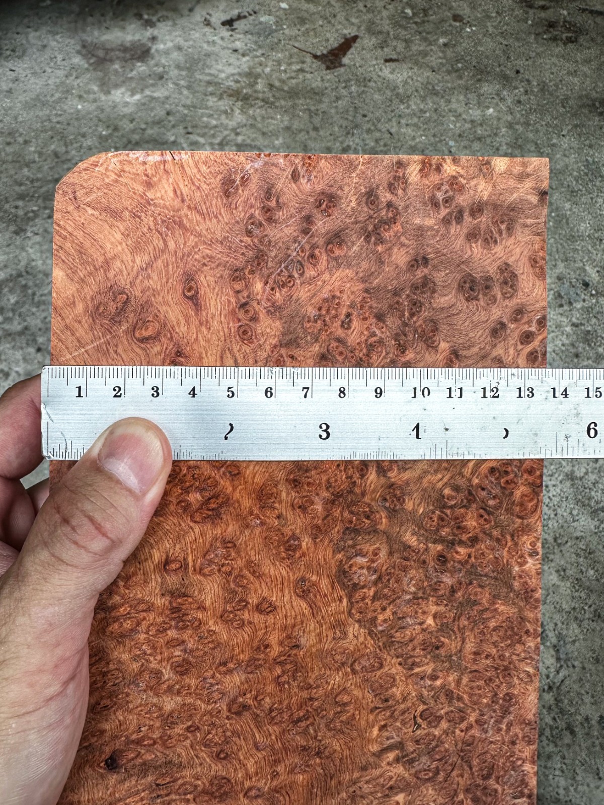 RARE!! Amboyna Burl ,Exotic Wood, Lumber, Knife Timber Handle Lumber #2895