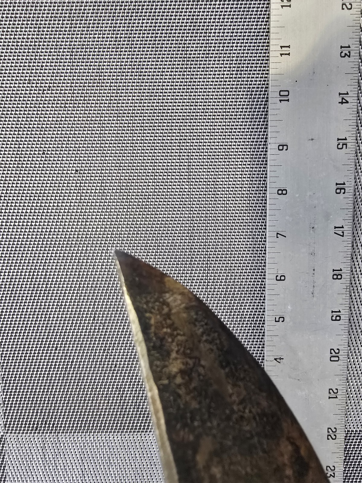 OLD ANTIQUE CONFEDERATE CIVIL WAR ERA SNAKE D GUARD BOWIE KNIFE FREE SHIPPING!!