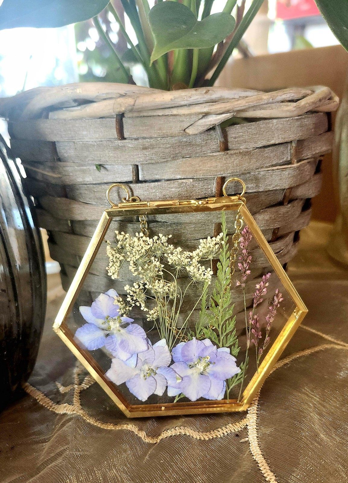 Wall Art Dried Pressed Real Flowers in Glass frame hexagon 3.5 in handmade gift