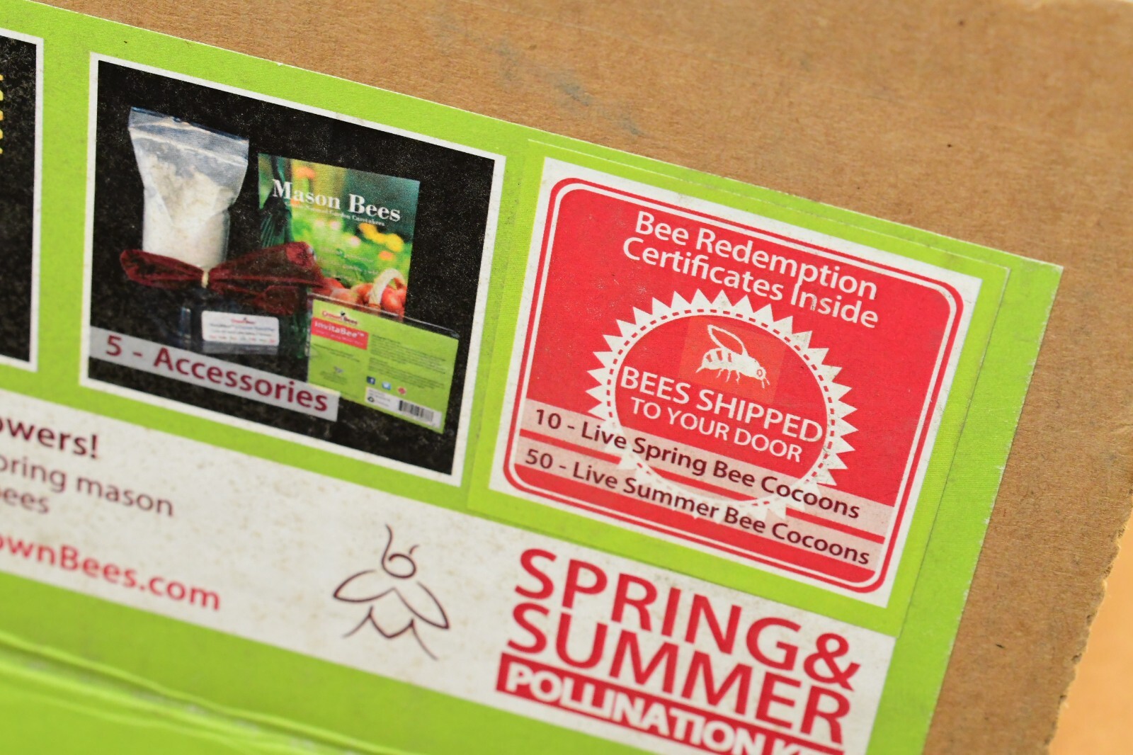 Crown Bees Bee Works Cabin Mason Bee House Kit Hotel w/ Bees for Order