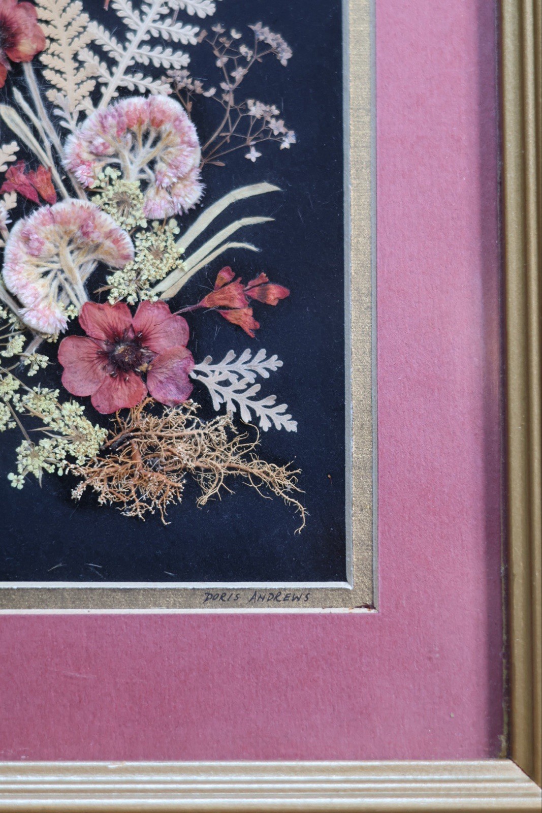 Vintage Pressed Flower Art Lot of 4 Framed Botanical Originals Doris Andrews