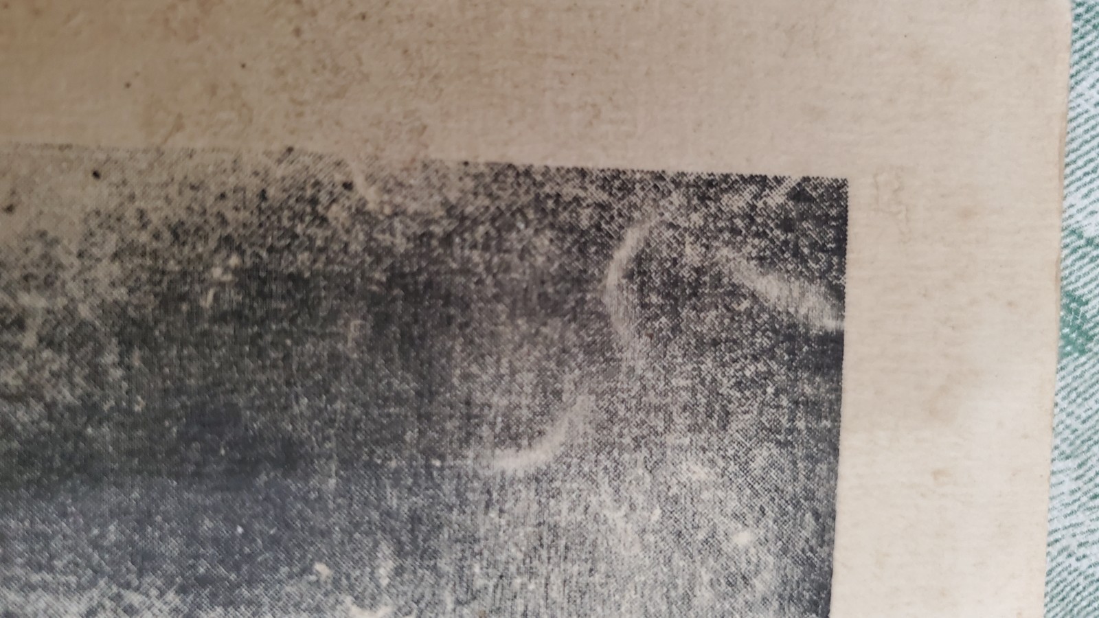 VTG Charles Wilbert White Lithograph Ye Shall Inherit The Earth " 1953 Signed