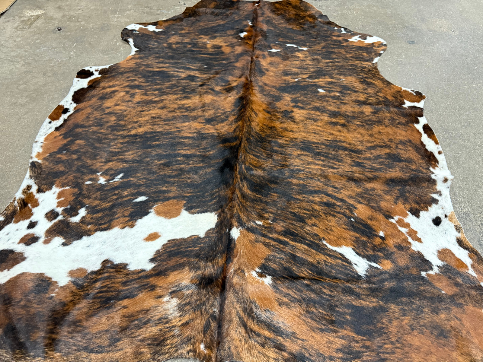 5 Exotic Tri Brindle Brazilian Cowhide Rug Cow Hide Size 7ft jumbo. 5 hide bundl