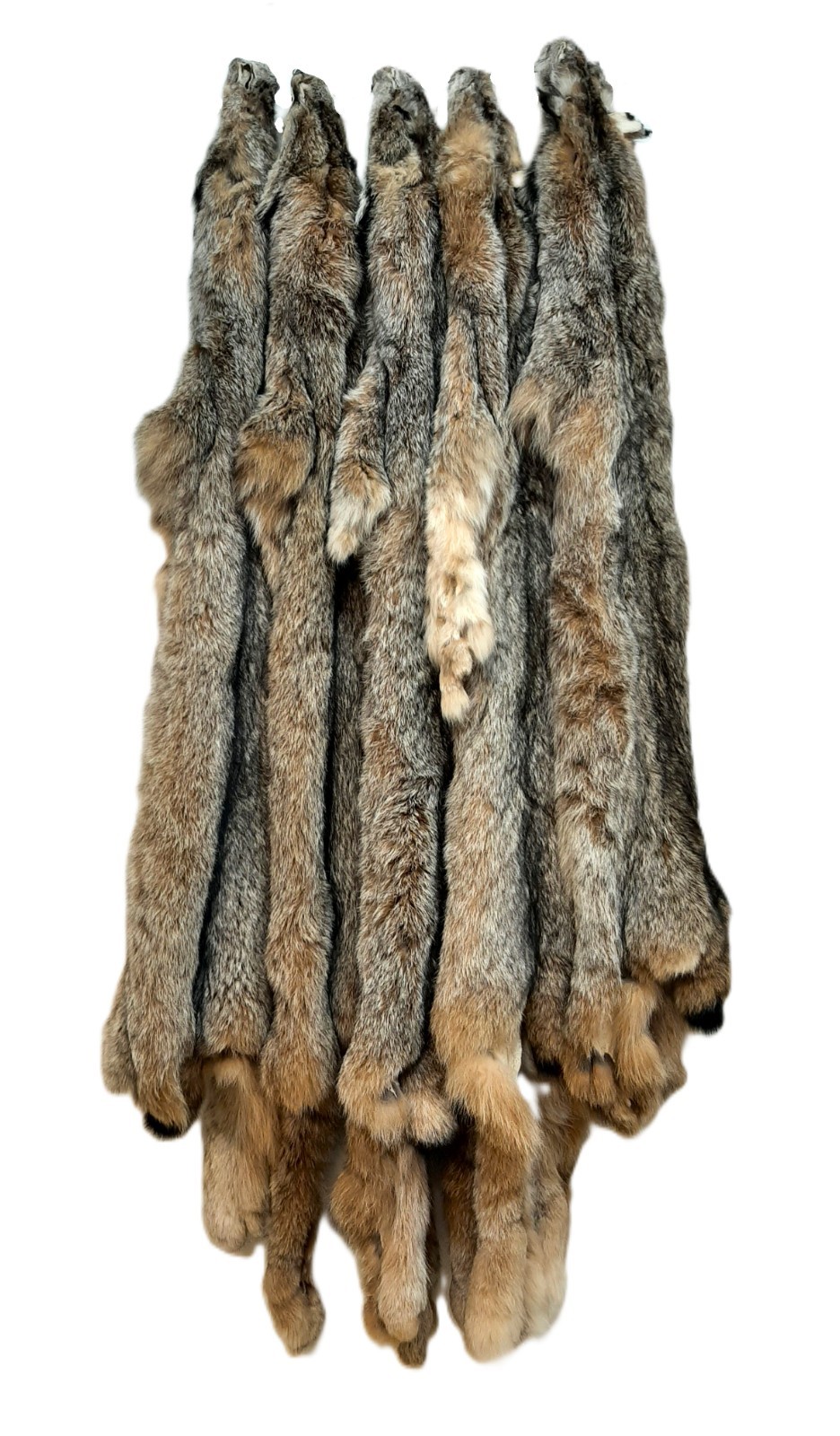 Lynx Pelt, VERY PLUSH & INCREDIBLY SOFT