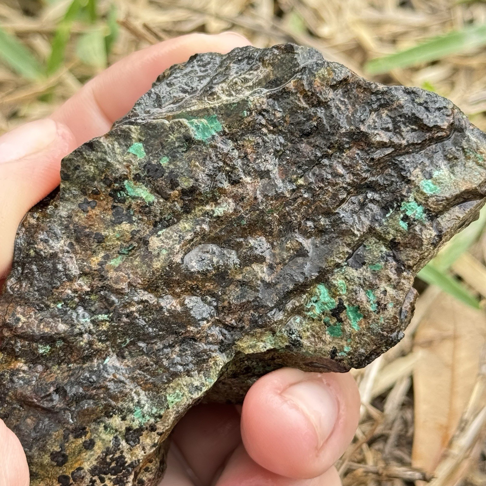 9oz Chalcopyrite w/ Green Chrysocolla Copper Ore Rough Rock Specimen Texas