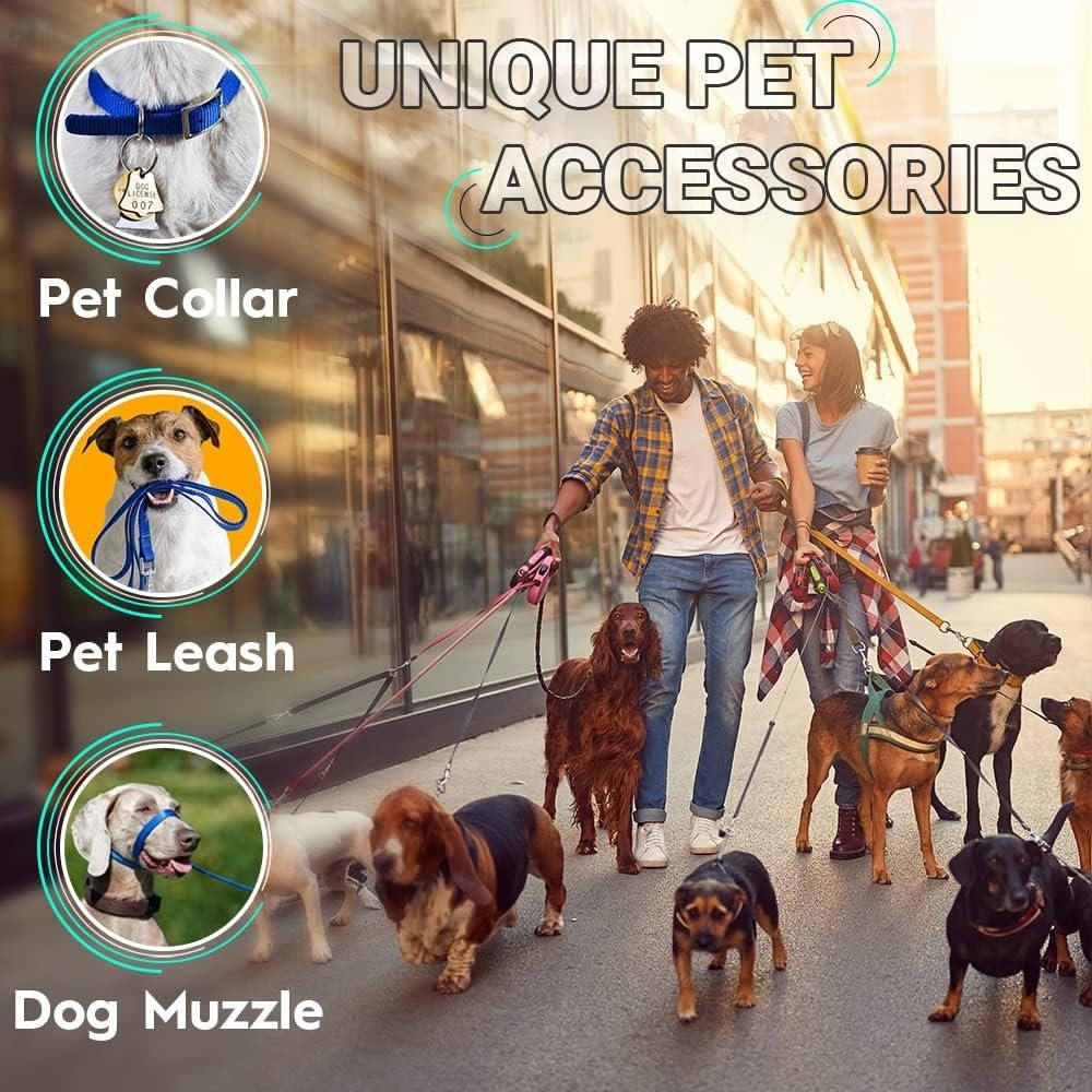 Customized 2" Heavy Duty Webbing: 25 Yards Black Polypropylene for Every Project