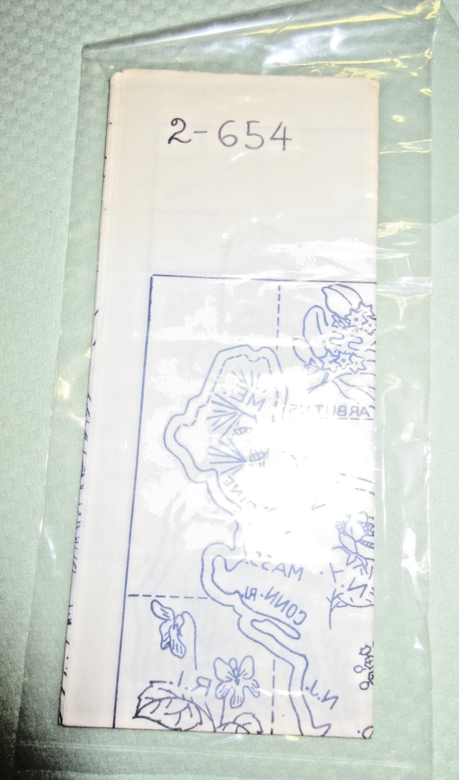 VTG/ NEW/OLD-USA STATE FLOWERS & MAP PANEL PATTERN #2-654~Approx. 16.50'x21.0"-N