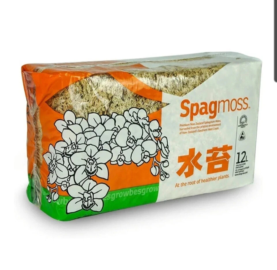 Premium New Zealand Sphagnum Moss for Kokedama, Moss Ball Bonsai & Orchid Plant