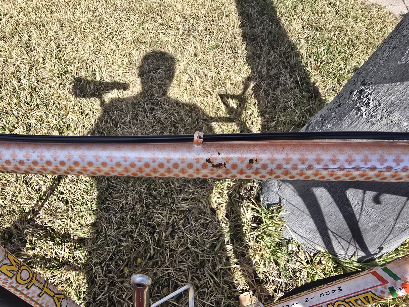 Gianni Motta Bike with Campagnolo Parts 53cm