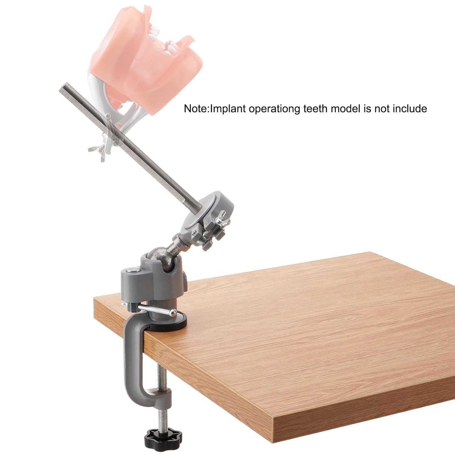 Dental Typodont Mounting Pole Fit For Kilgore Nissin Columbia Dentoform Frasaco