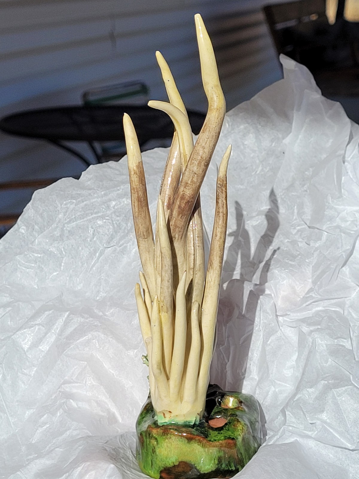 Rare Vintage Early Lorenzen Lantz Nova Scotia Clay Mushroom Clavaria Fumosa ’