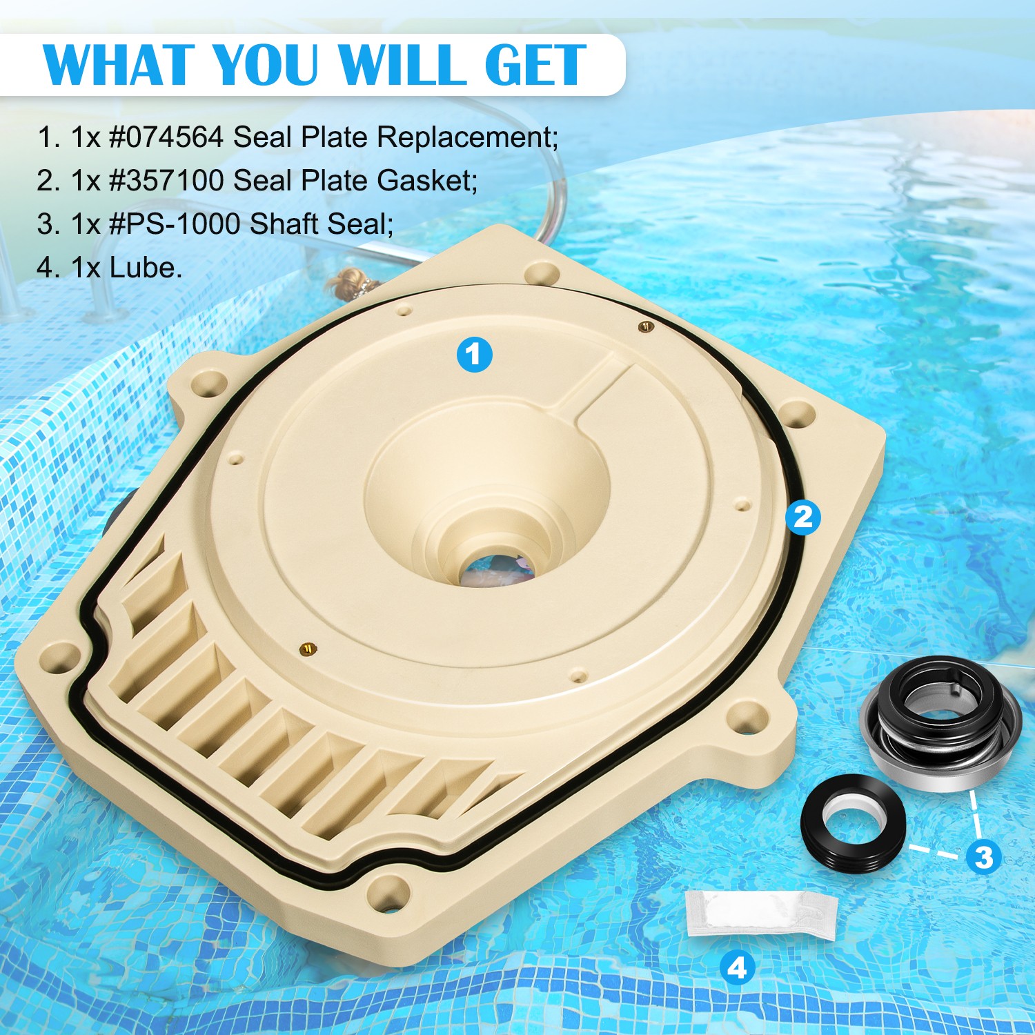 074564 25357-300-000 V20-208 Seal Plate Fit for Pentair Whisperflo Intelliflo