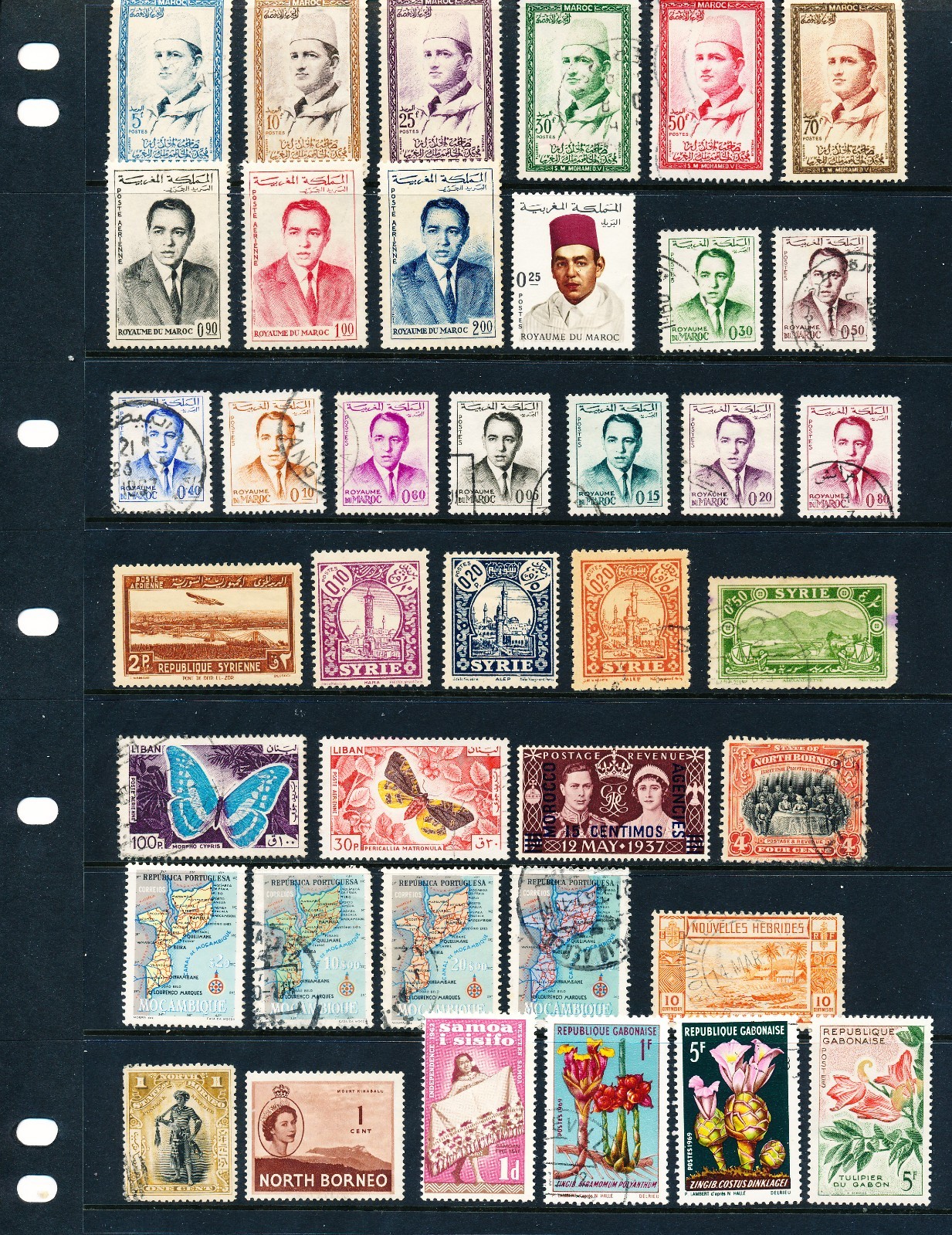 Syria, Morocco, Others