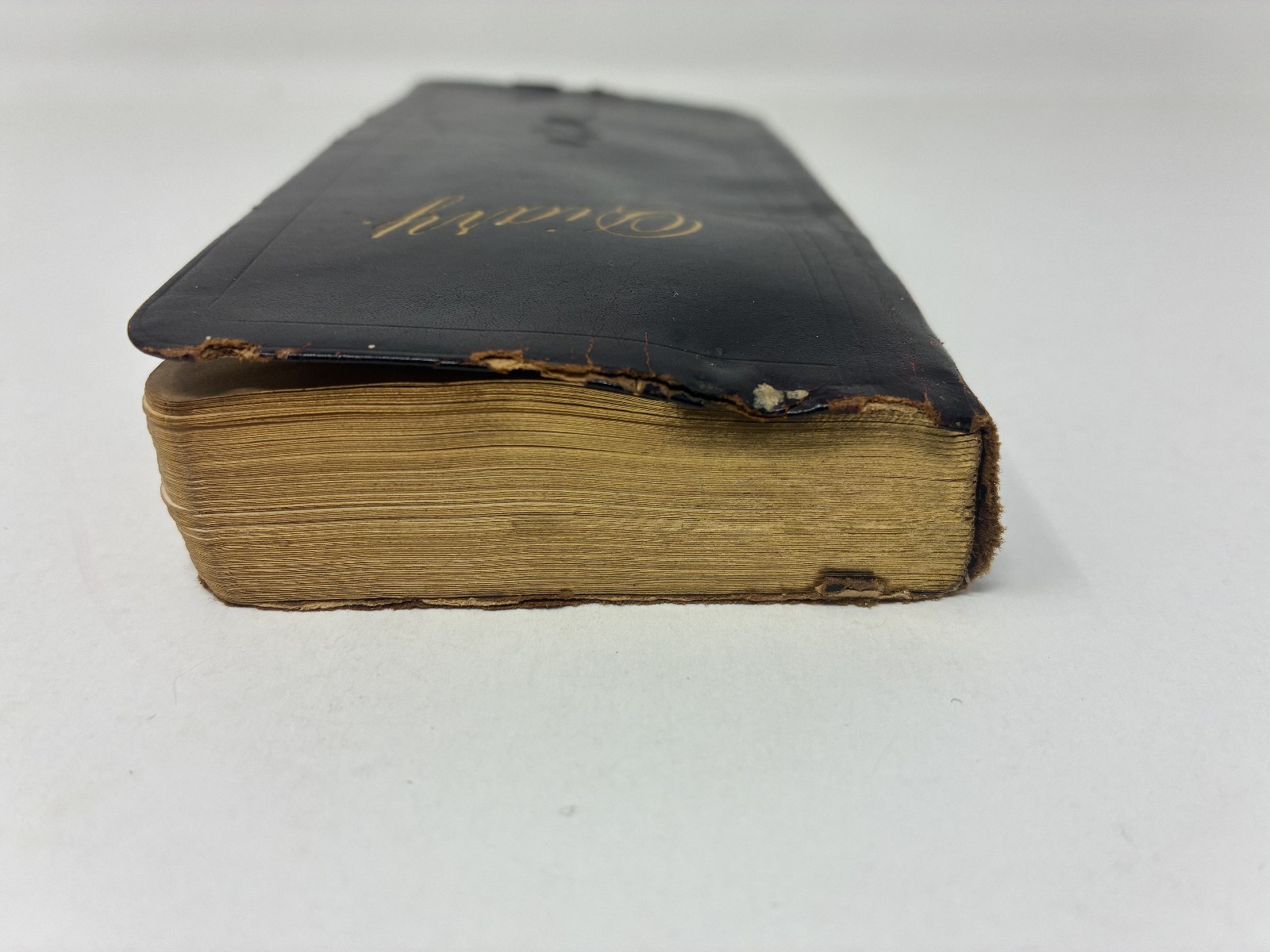 1900 Victorian Woman Wife & Mother Handwritten Diary with Her Life Memorial!