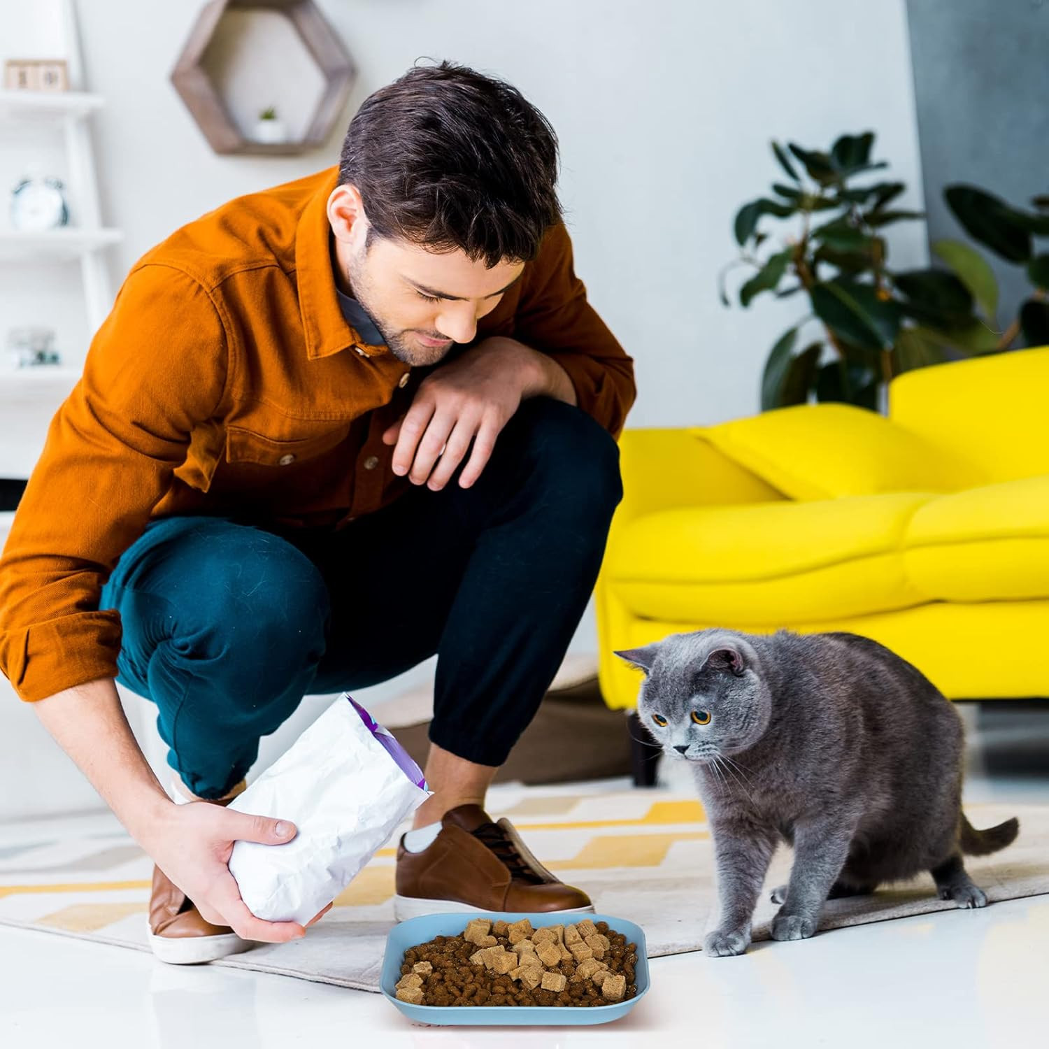 8 Pieces Cat Food Bowl Set, 6 inch Wide Shallow Cat Bowl for Relief Whisker Fati