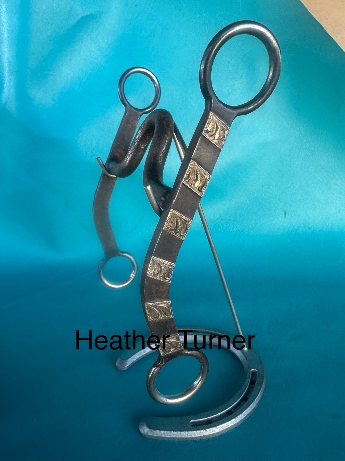 Daryl Davis DD Maker Western Bit Sterling Silver Shanks 5