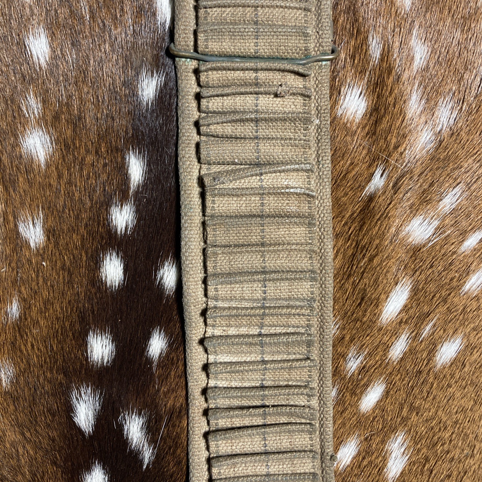 SPANISH AMERICAN WAR U.S. KRAG AMMO CANVAS BELT 45 SLOTS 30-40 Krag ?