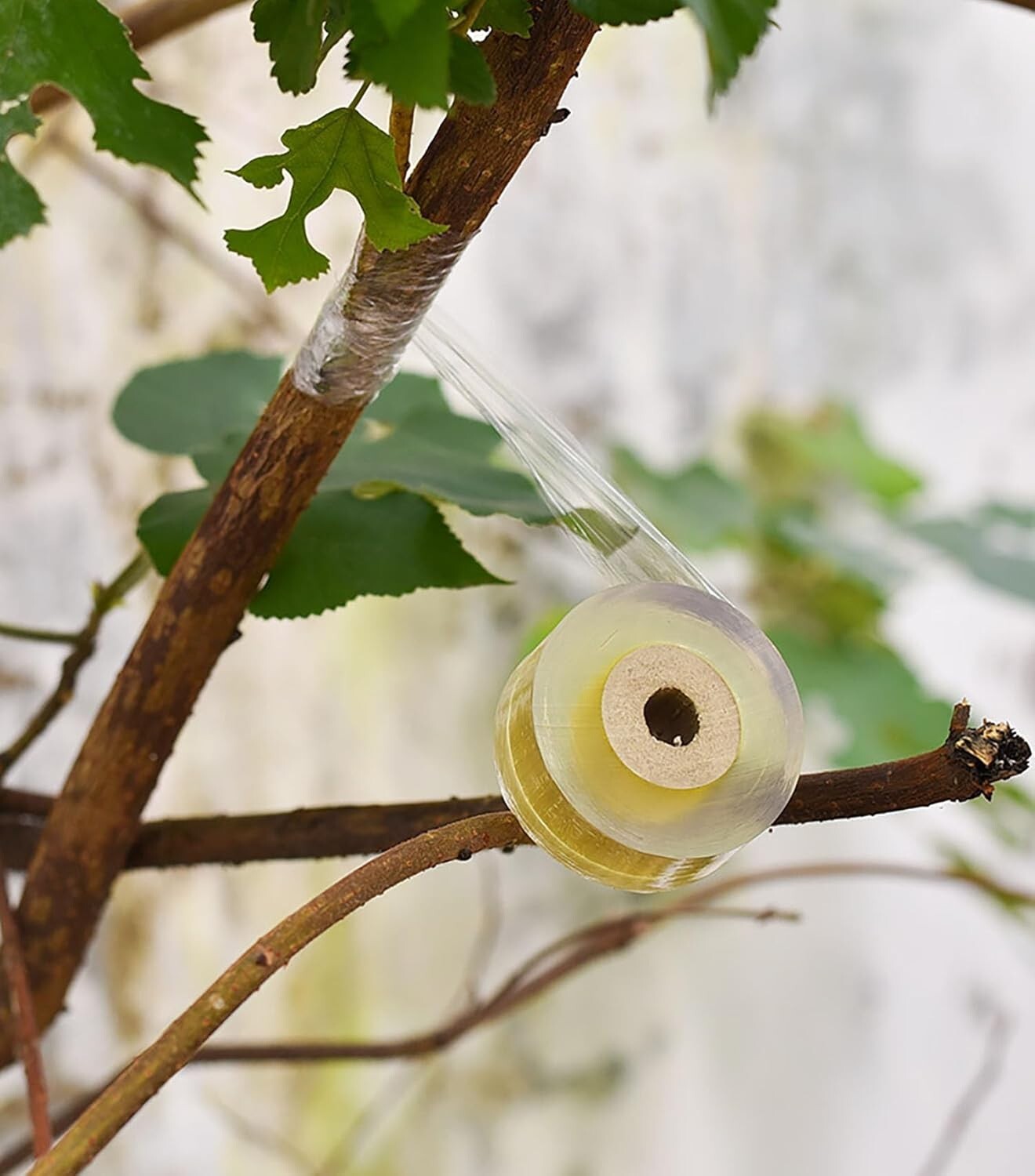 3 Rolls Grafting Tape Stretchable Garden Plants Repair Tape for Fruits Tree