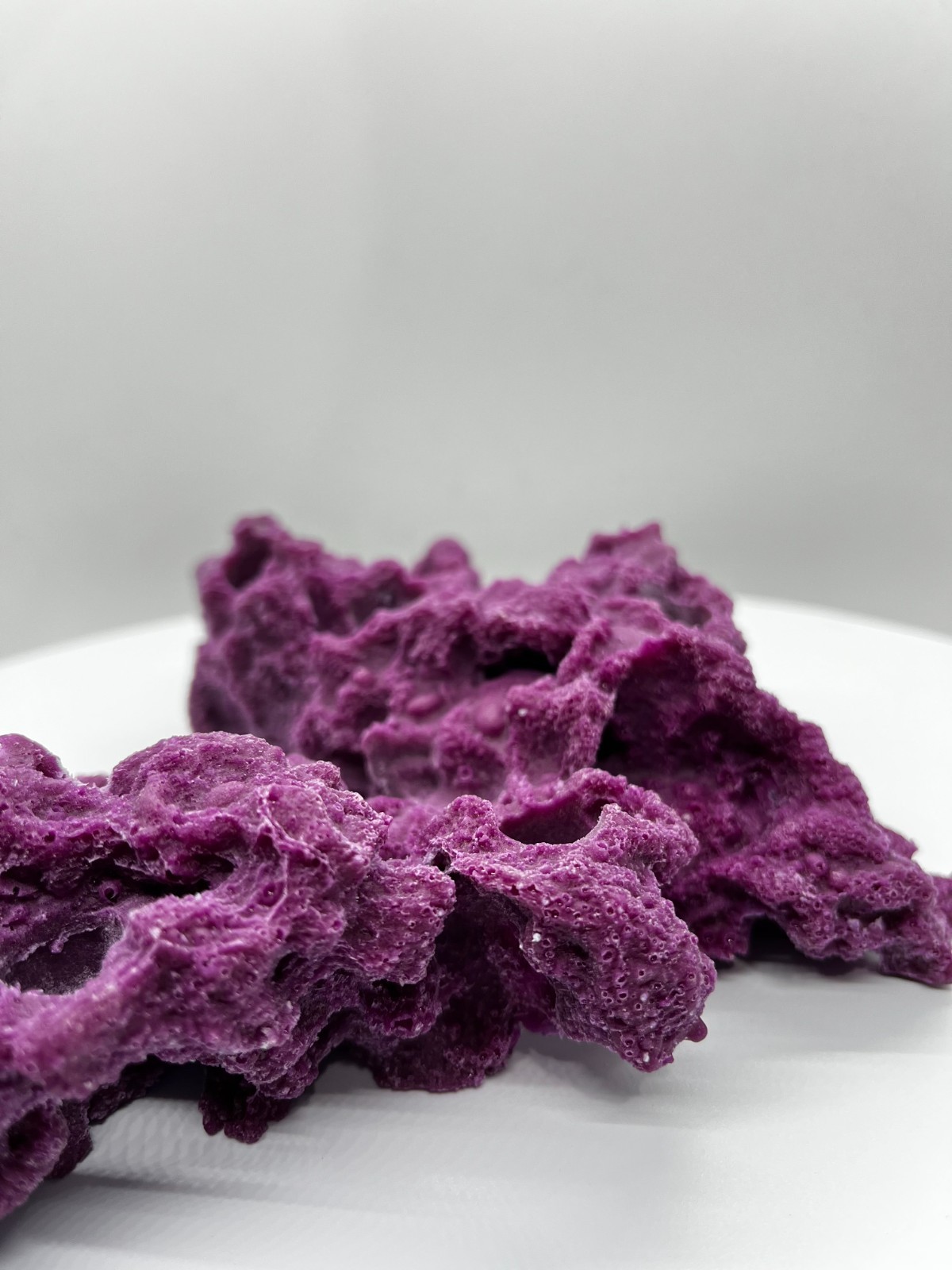 8 Hole Sandbed Frag Rack/Rock base for Live Coral Plug Ons